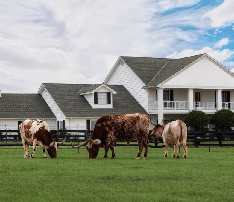 The Evolution of Southfork Ranch: Iconic TV Location to Event Powerhouse