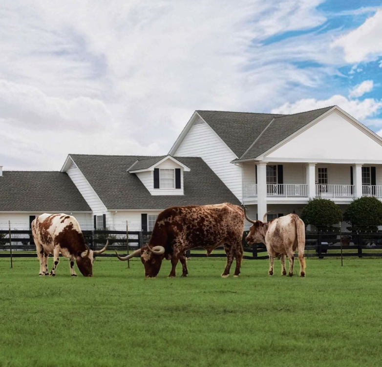 The Evolution of Southfork Ranch: Iconic TV Location to Event Powerhouse
