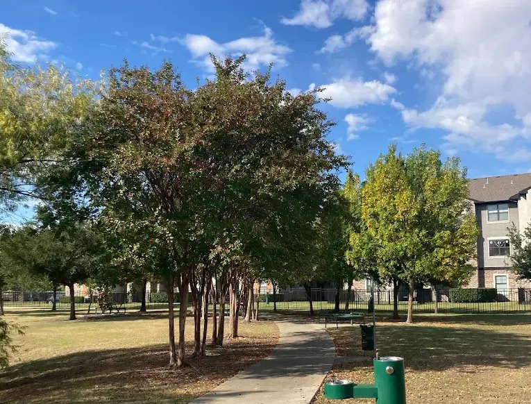 Make the Most of Your Time Outdoors at Village Green Park in Fairview, Texas: Visit and Experience It Today