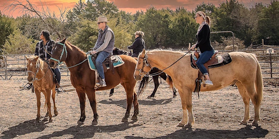 Sunset Serenity: Explore Romantic Trail Rides With Cathy’s Critters