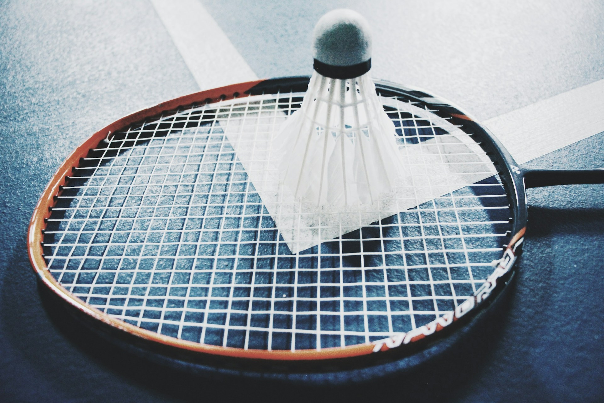 Join the Fun: Fairview's Laid-Back Badminton Gathering