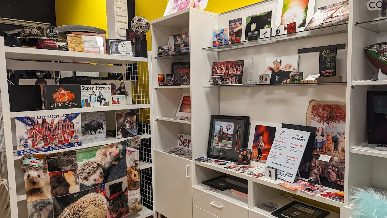 Artistic Endeavors Fairview TX Discovering Artistic Endeavors by Carey Lynn in Fairview, Texas